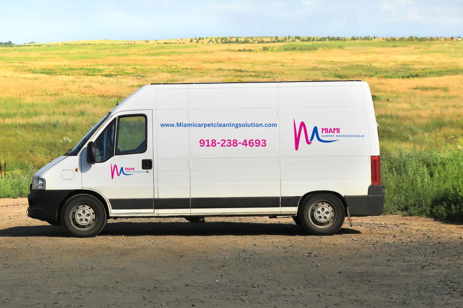 A van in front of a field, showcasing a carpet and rug cleaning service located in Miami, FL.