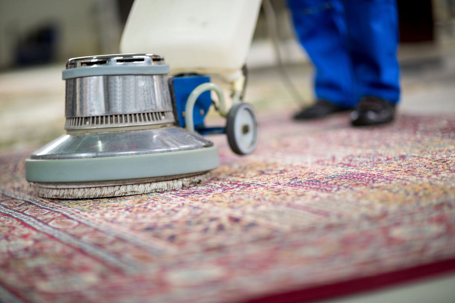 A person using a vacuum cleaner to clean a carpet, representing a rug cleaning service in Miami, FL.