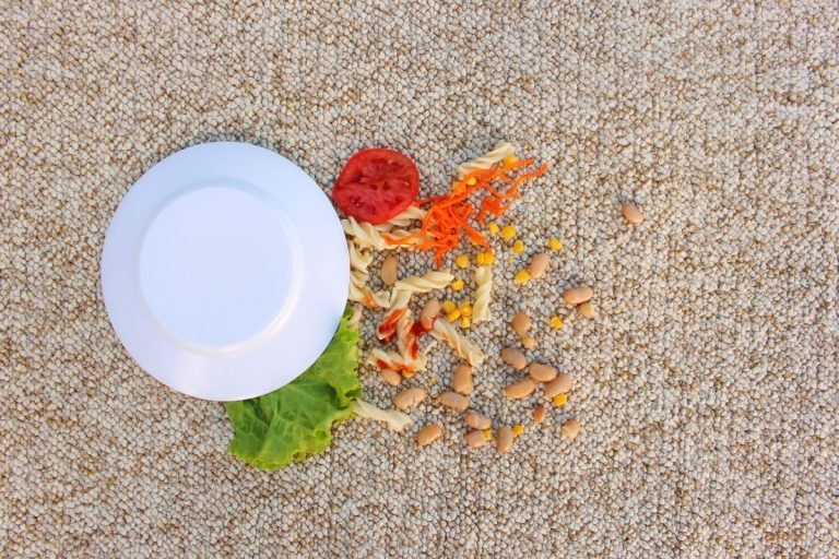 A plate of food accompanied by a bowl of fresh vegetables, set against a backdrop of a recently cleaned carpet.
